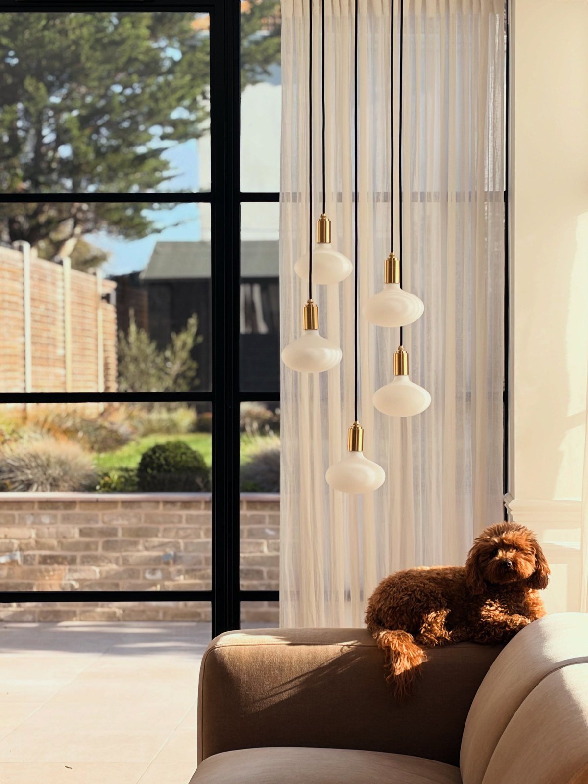 Bright modern living room with a small fluffy dog lying on a beige sofa backrest; fresh, airy feel (photo shows the fresh-air result, not an air purifier unit).