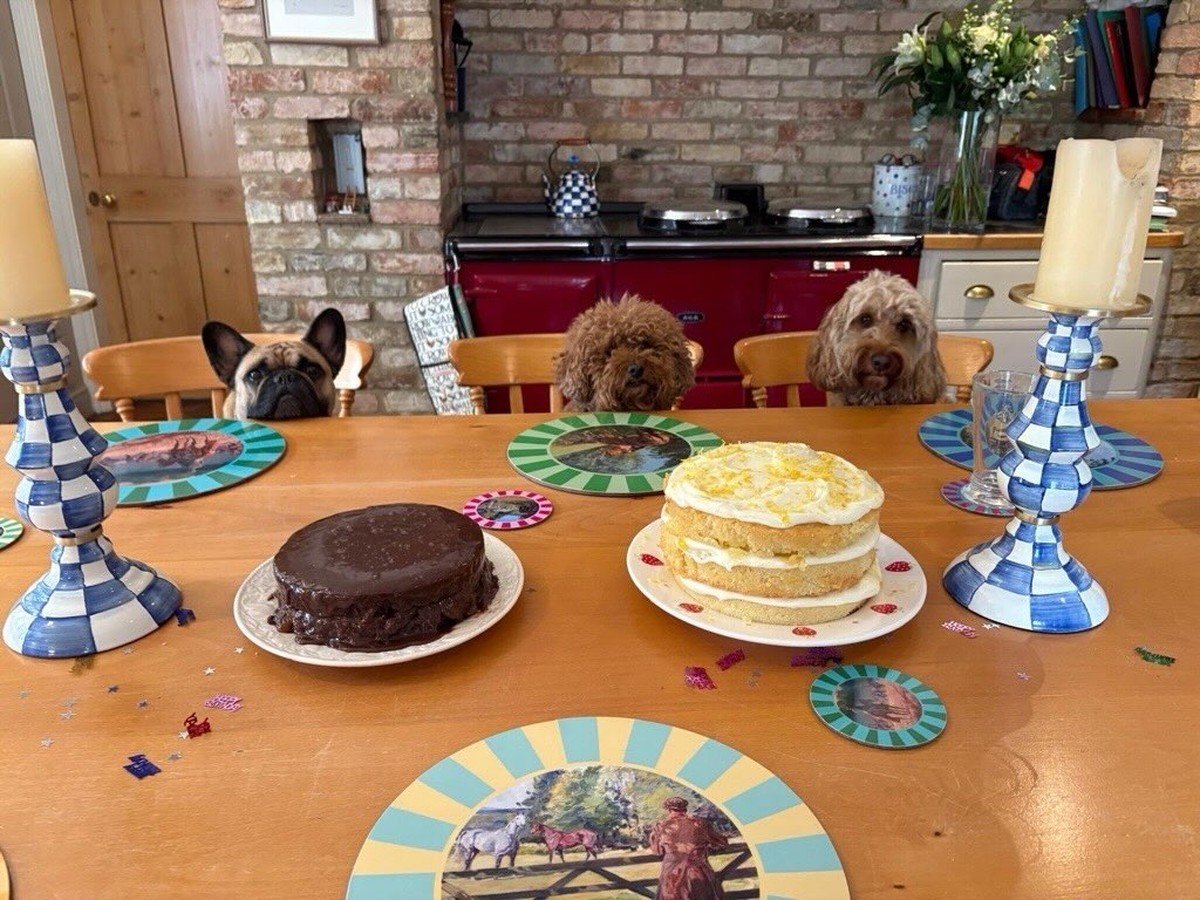 Three dogs sit at a celebration dining table set with two cakes, checkered candlesticks, and confetti in a rustic kitchen.