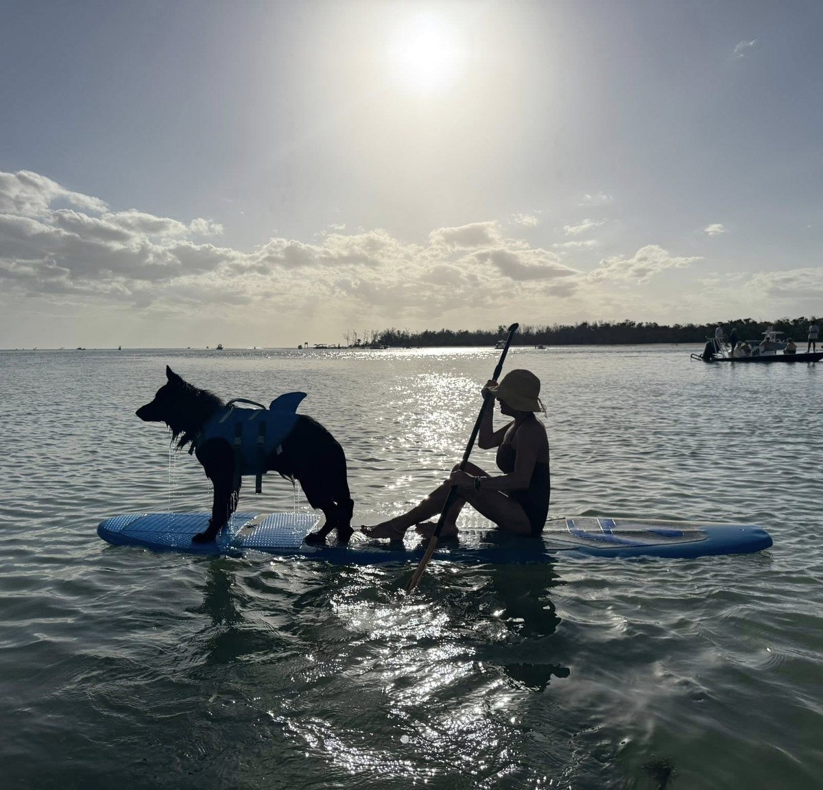 Black dog in a blue life vest standing on a paddleboard with its owner on the water at sunset, backlit silhouettes; no readable text
