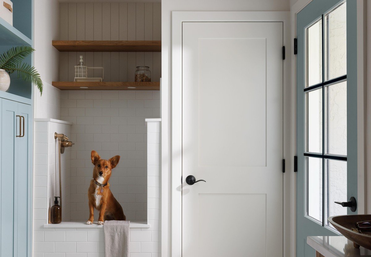 Small reddish-brown dog sitting upright in a white-subway-tile wash niche with brass fixtures, set into light-blue cabinetry with open wood shelves. No text visible in the image.