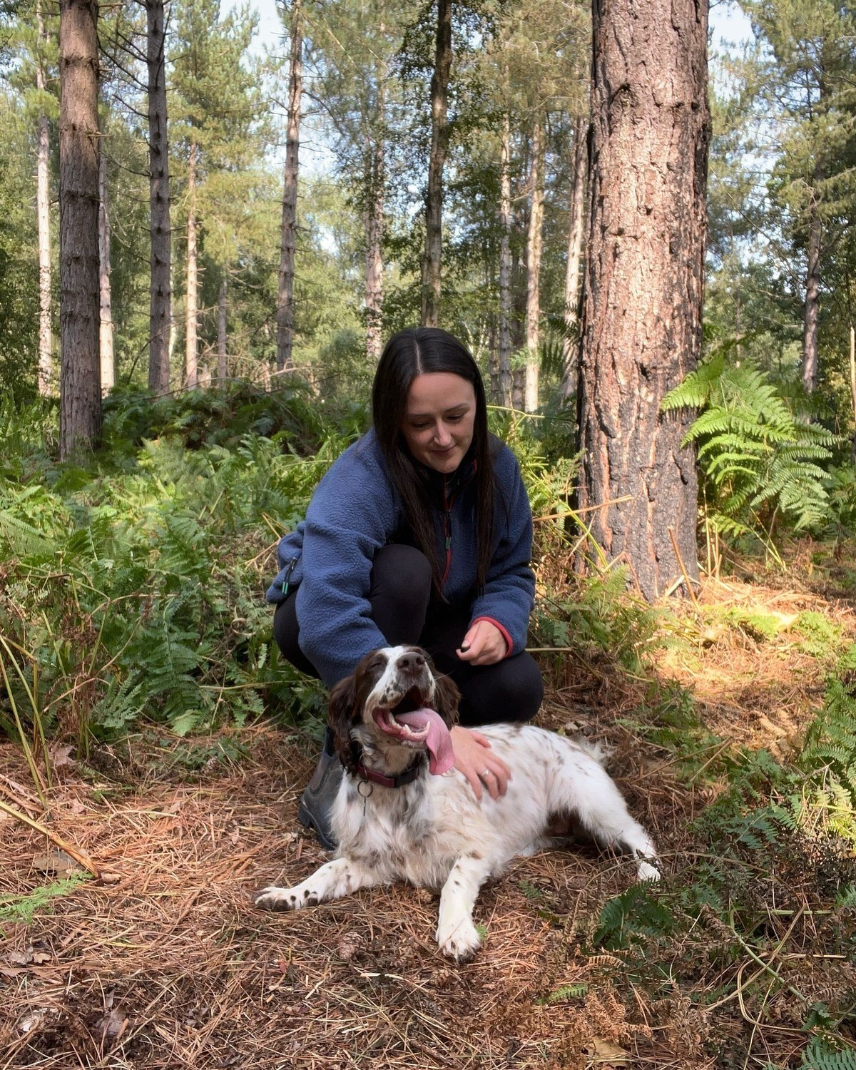 Brown spaniel sitting with its owner at a wooded campsite for a birthday camping trip