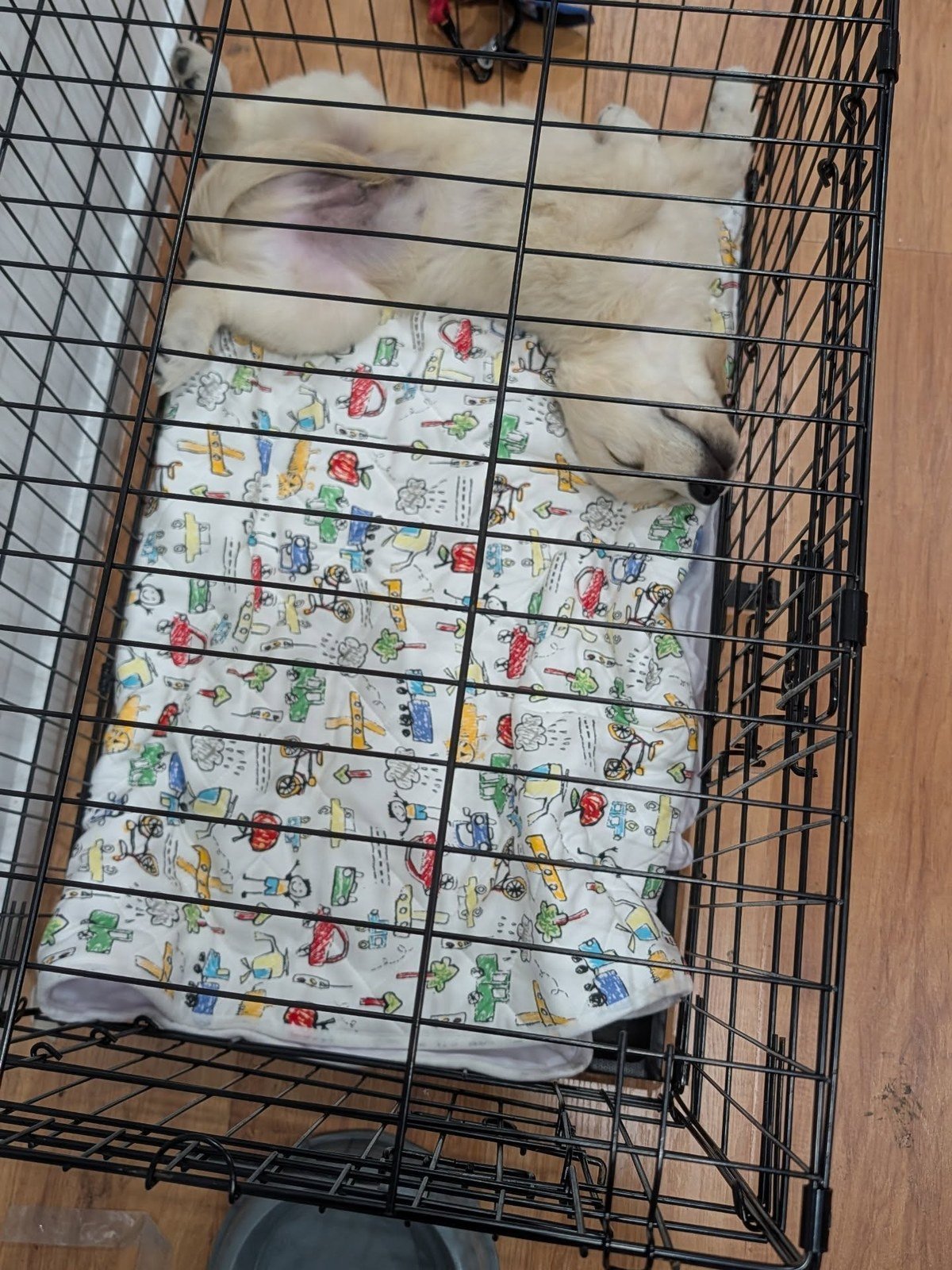 Light-colored puppy asleep on its back inside a black wire crate on a colorful quilted blanket.