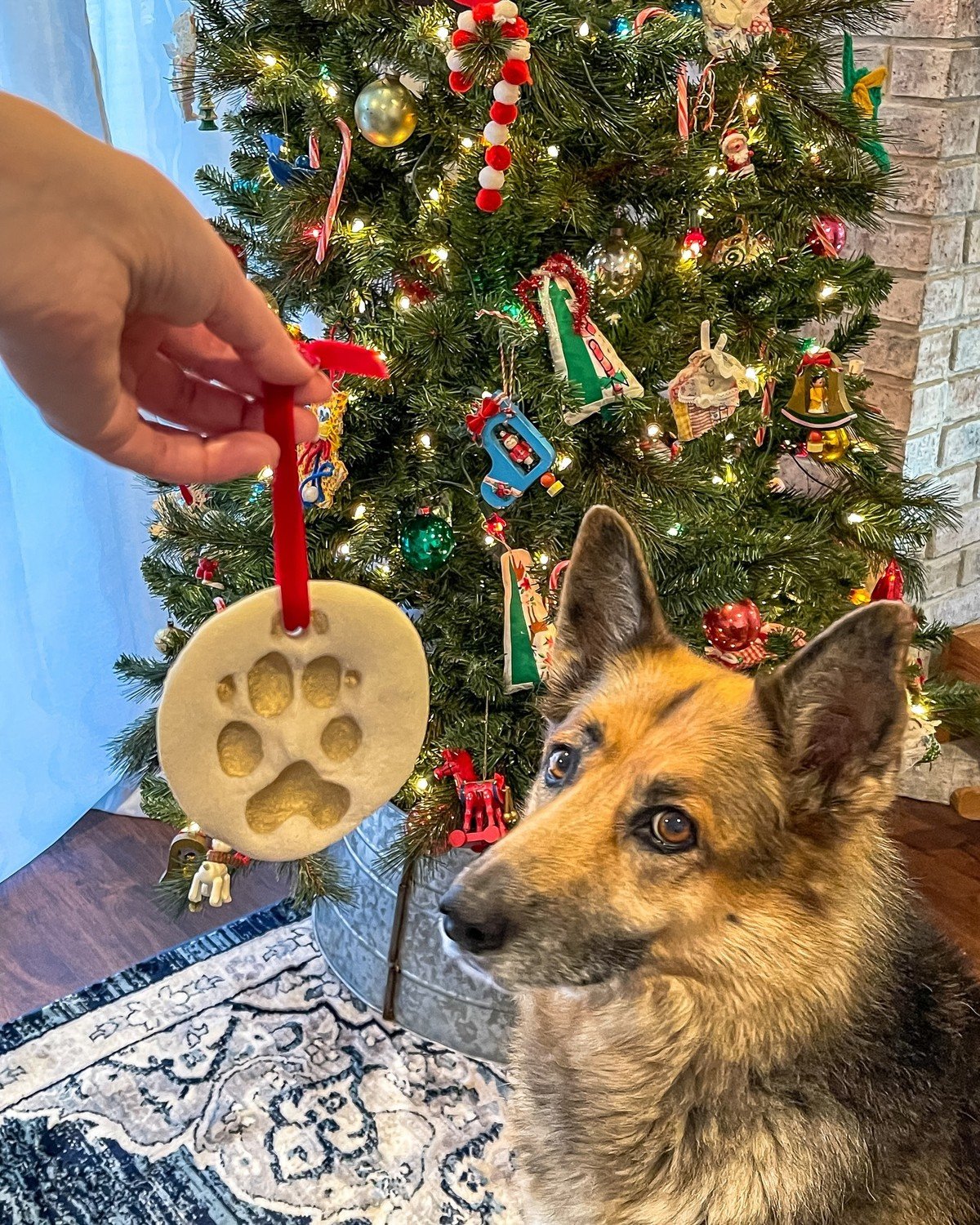 Plain salt-dough paw-print ornament with a clear imprint; no text