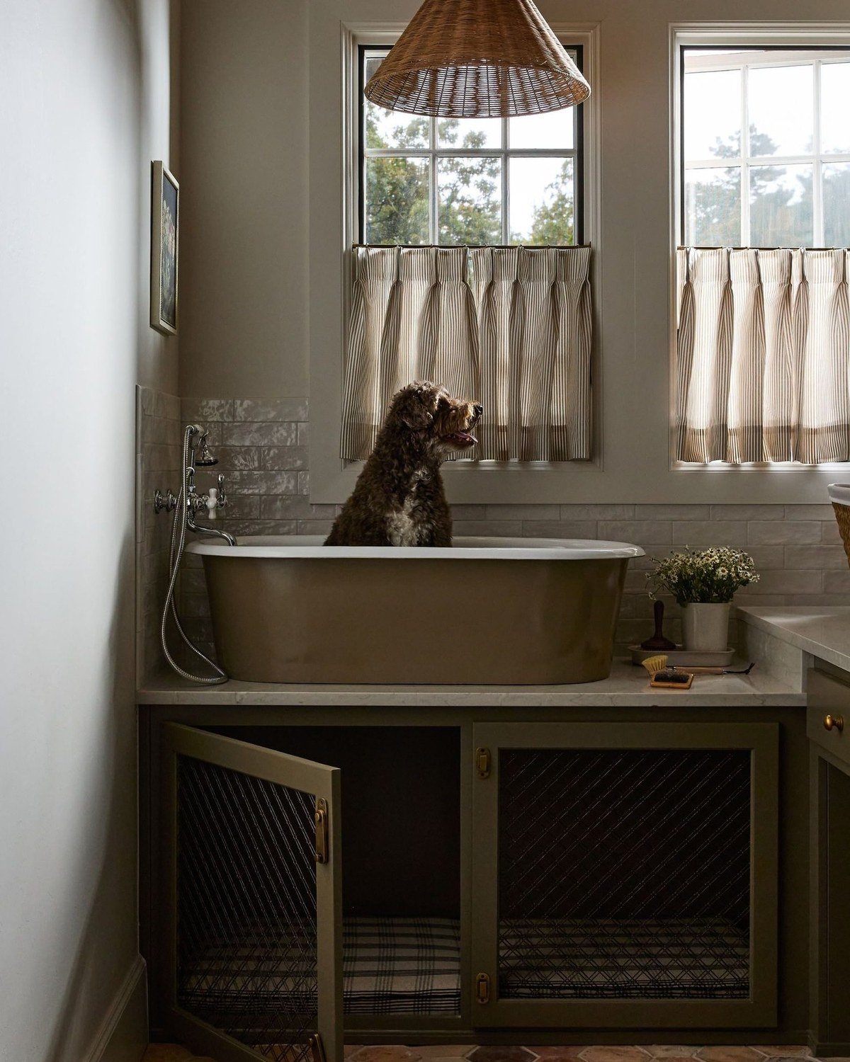 Brown curly dog in a freestanding wash basin set in a counter; built-in dog crate with cushion below.