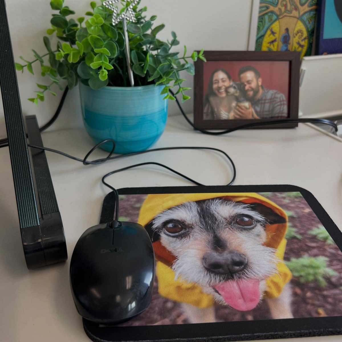17 Dog Mom Home Office Ideas