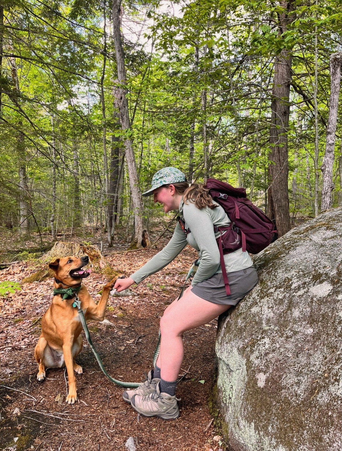 Dog and owner on a forest hiking trail; no text