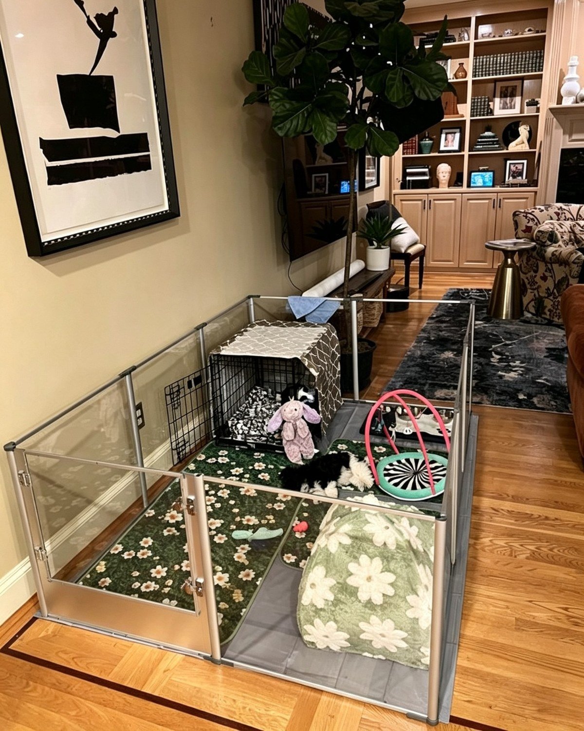 Small black-and-white puppy asleep on a green floral mat inside a clear acrylic indoor pet playpen with toys and a wire crate