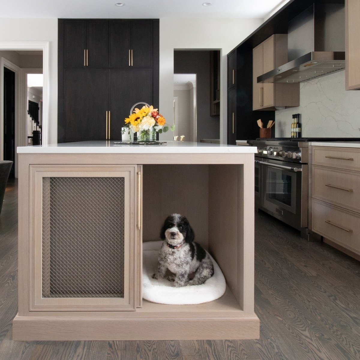 Kitchen island with mesh-door pet cabinet and open cubby where a small curly dog sits on a plush white bed. No readable text per visual summary.