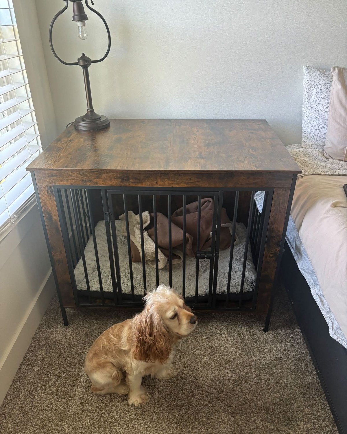 Extra-large dog crate repurposed as a side table next to a bed, dark wood top, lamp on top, dog in foreground. No readable text.