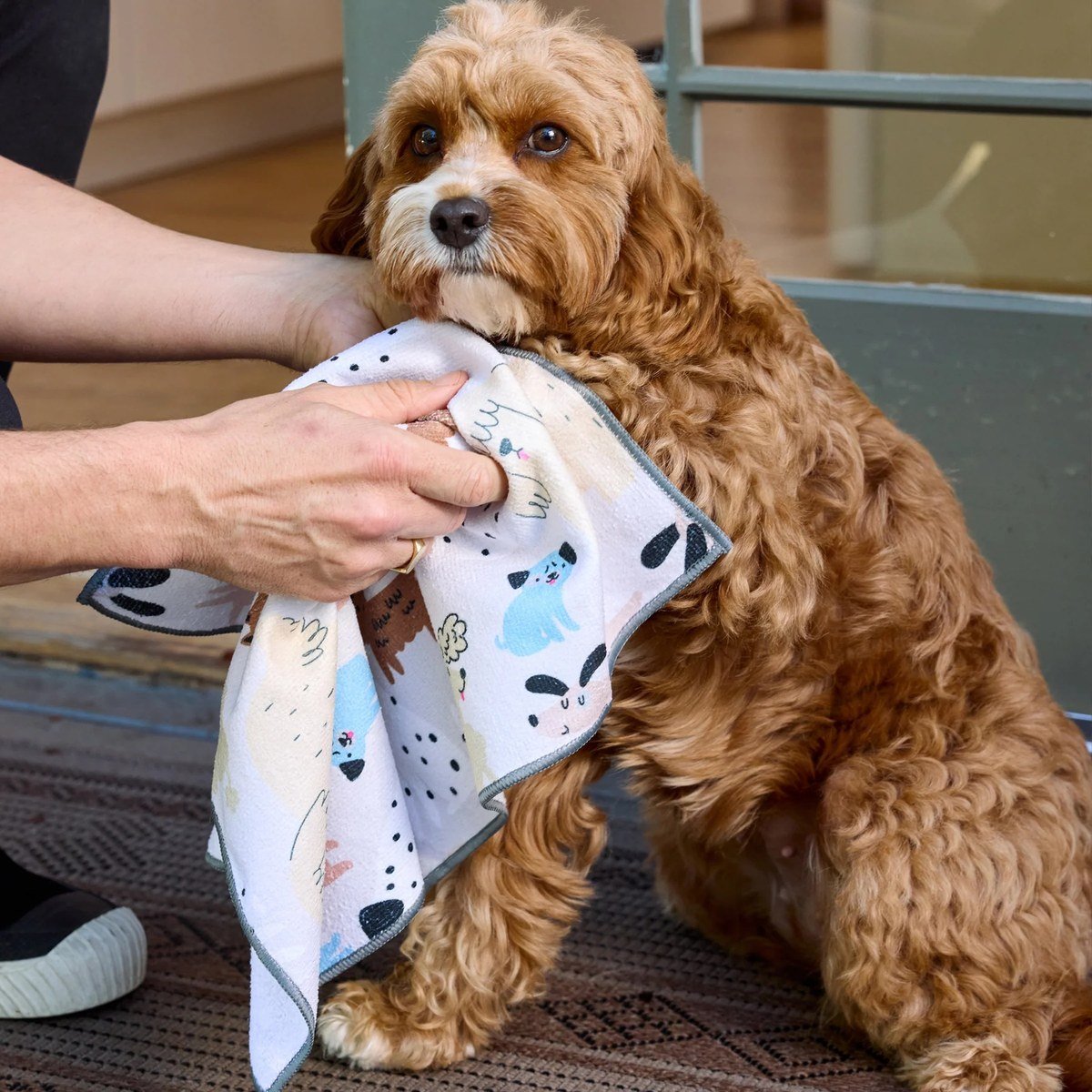 An apricot curly-coated dog sits patiently on a woven doormat by a glass-paneled door while a person gently wipes its front paw with a white microfiber towel; verified no text visible in the image.