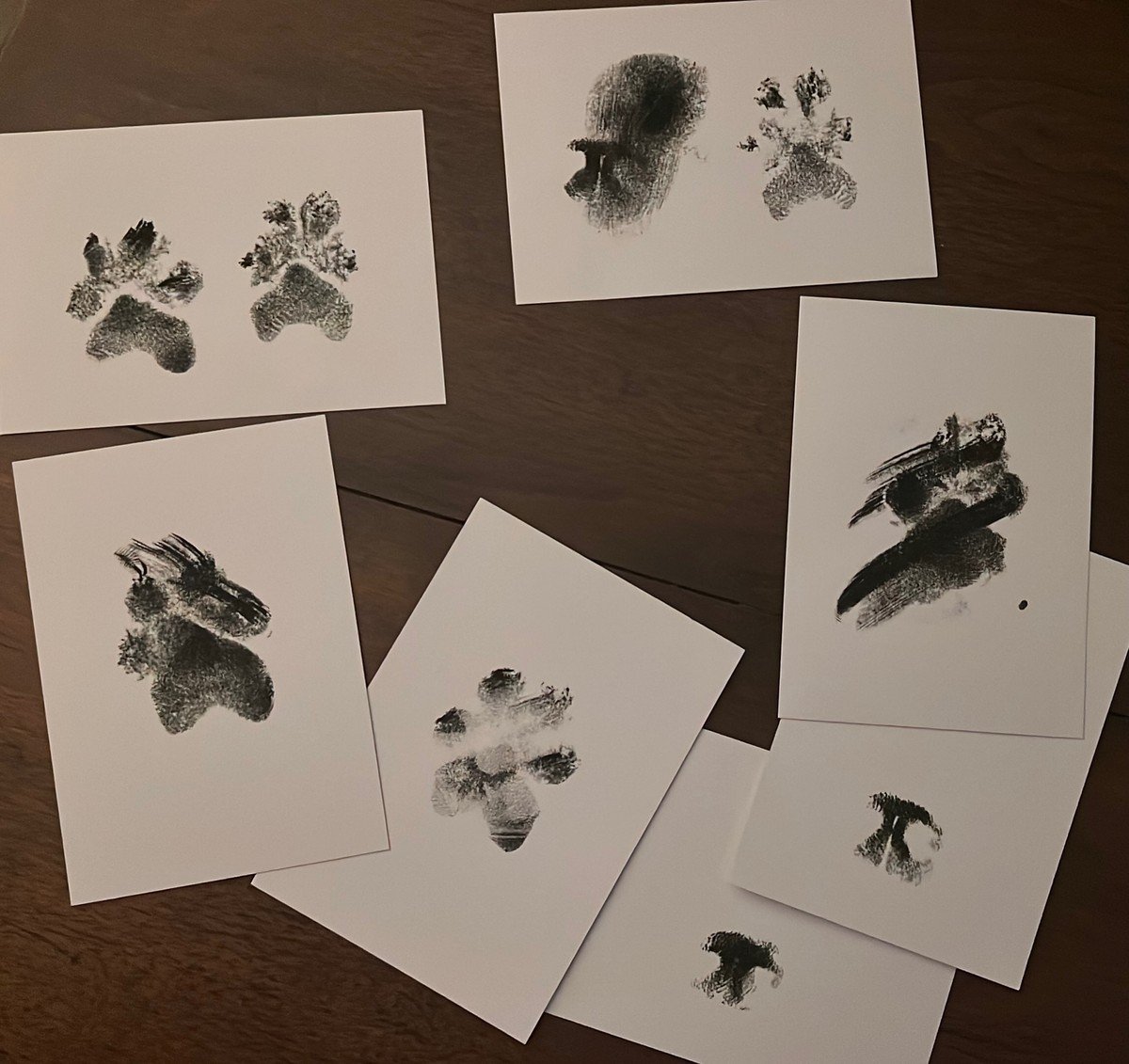 A flat lay of white cards stamped with black ink dog paw-print impressions on a wooden table.