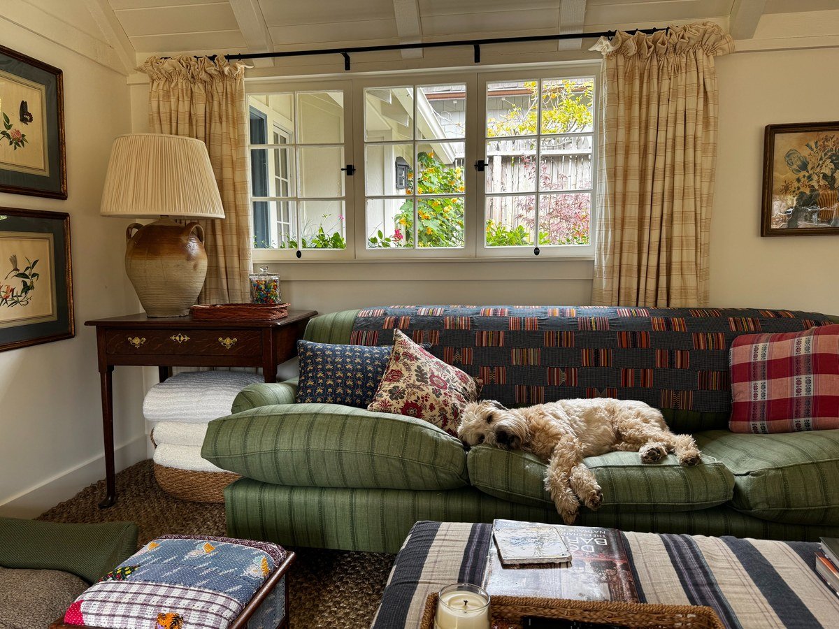 Fluffy dog asleep stretched out on a green striped sofa in a sunlit living room.