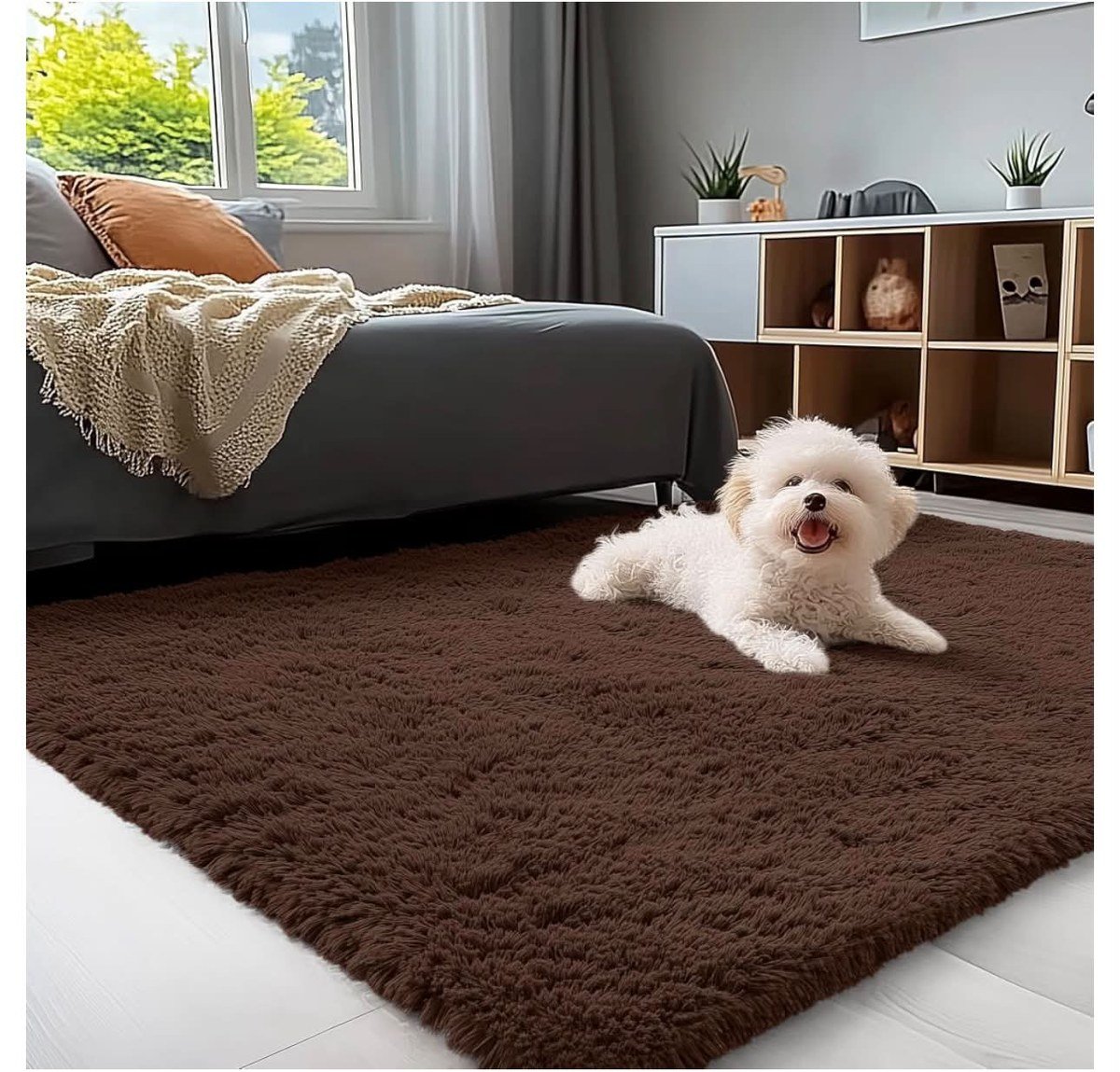 Small fluffy white dog lying on a brown shaggy rug next to a bed with dark gray bedding.