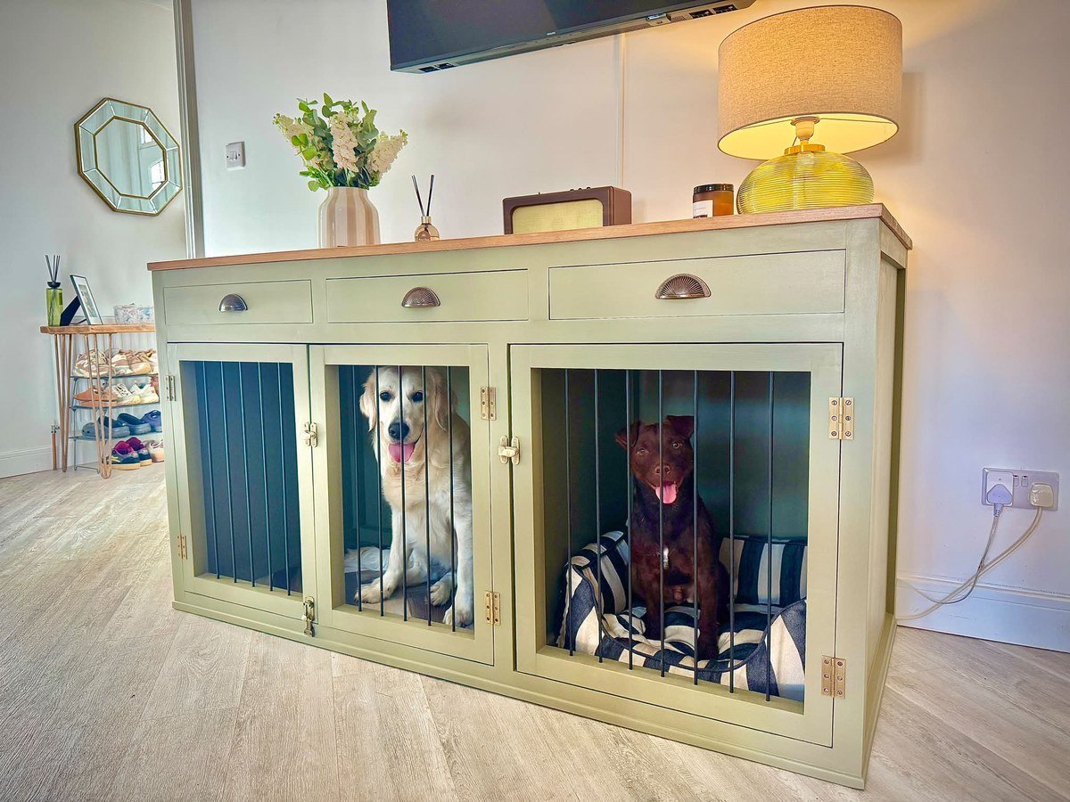 Sage green custom sideboard with two dog crate compartments and drawers, golden retriever inside. No readable text.
