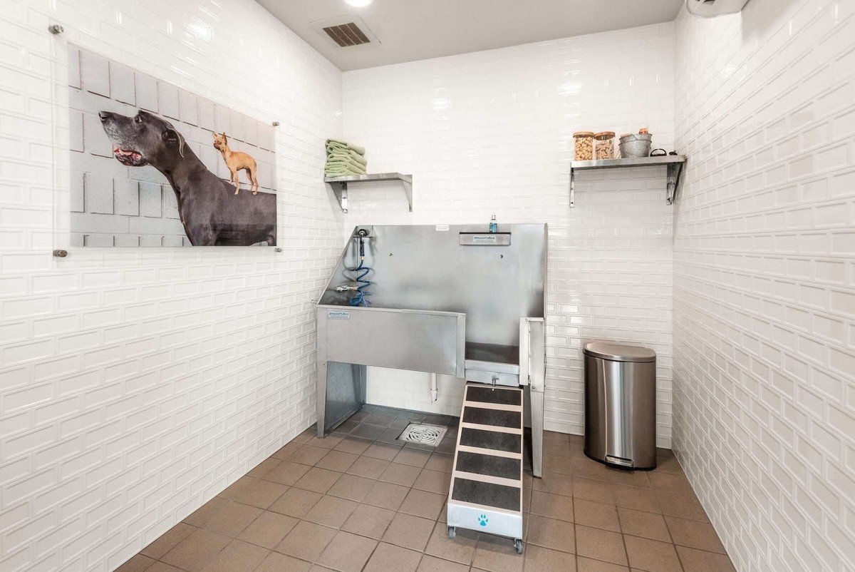 Large stainless steel grooming tub with high backsplash and spray hose in a white-subway-tile pet wash room; step ramp marked with a blue paw print graphic (not text). No text visible in the image.