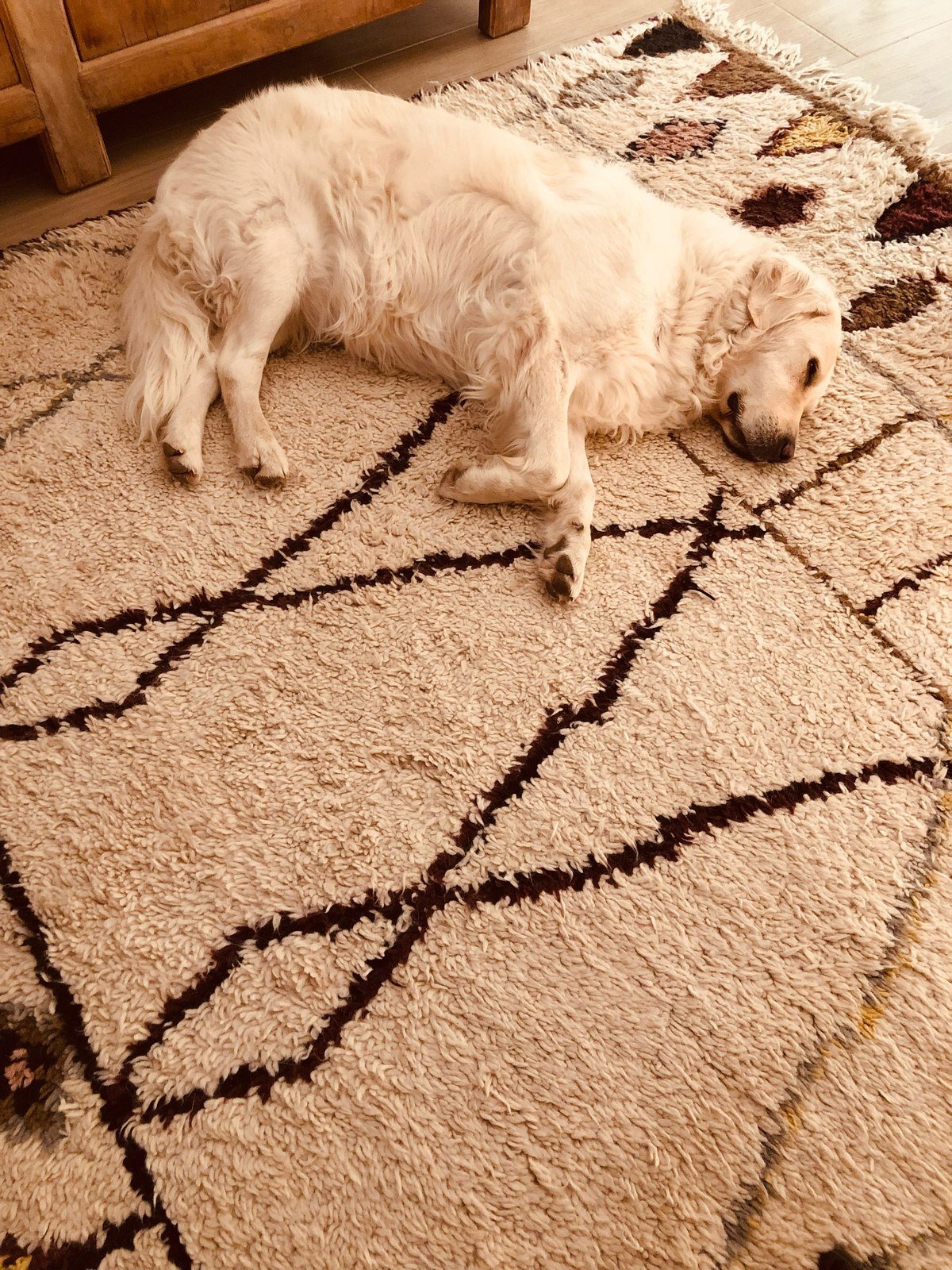 A golden retriever-type dog asleep on a thick shaggy Moroccan-style rug with geometric diamond patterns in brown, black and muted tones.