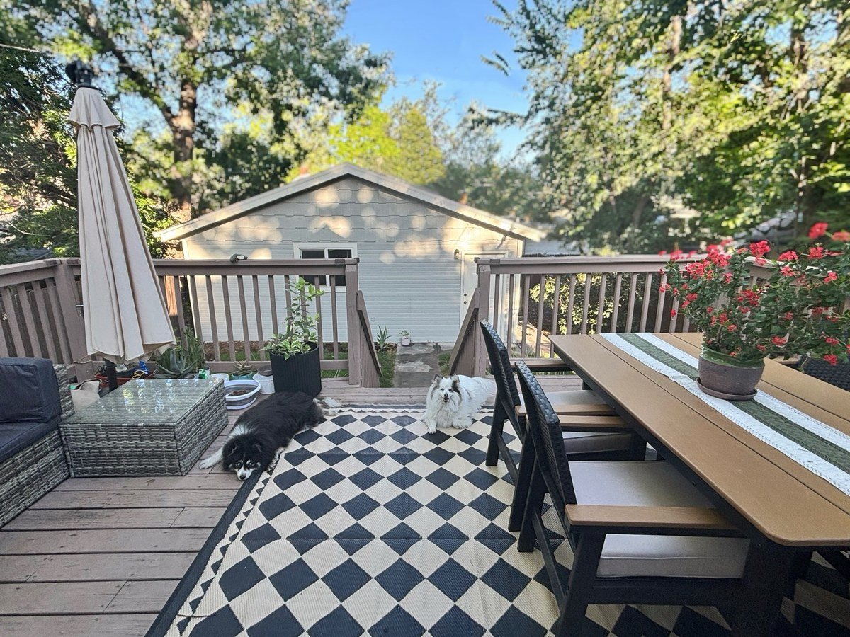 Two fluffy dogs lounging on a large black-and-white diamond-patterned outdoor rug on a sunny backyard deck.