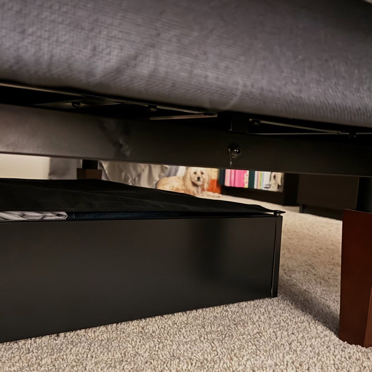 Floor-level view under a bed: black under-bed storage container with lid ajar; small dog lying nearby.