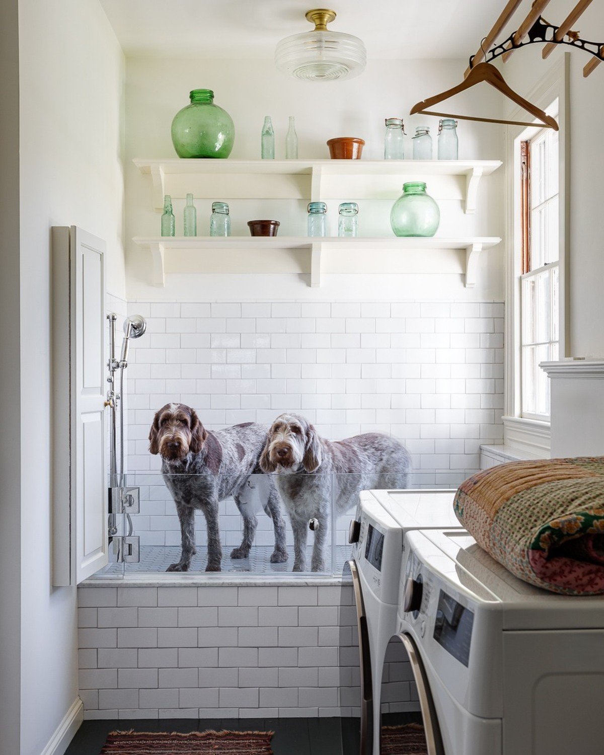 Two wirehaired dogs standing side by side inside a tiled walk-in shower enclosure with a glass barrier and handheld shower fixture; bright white-subway-tile mudroom. No text visible in the image.