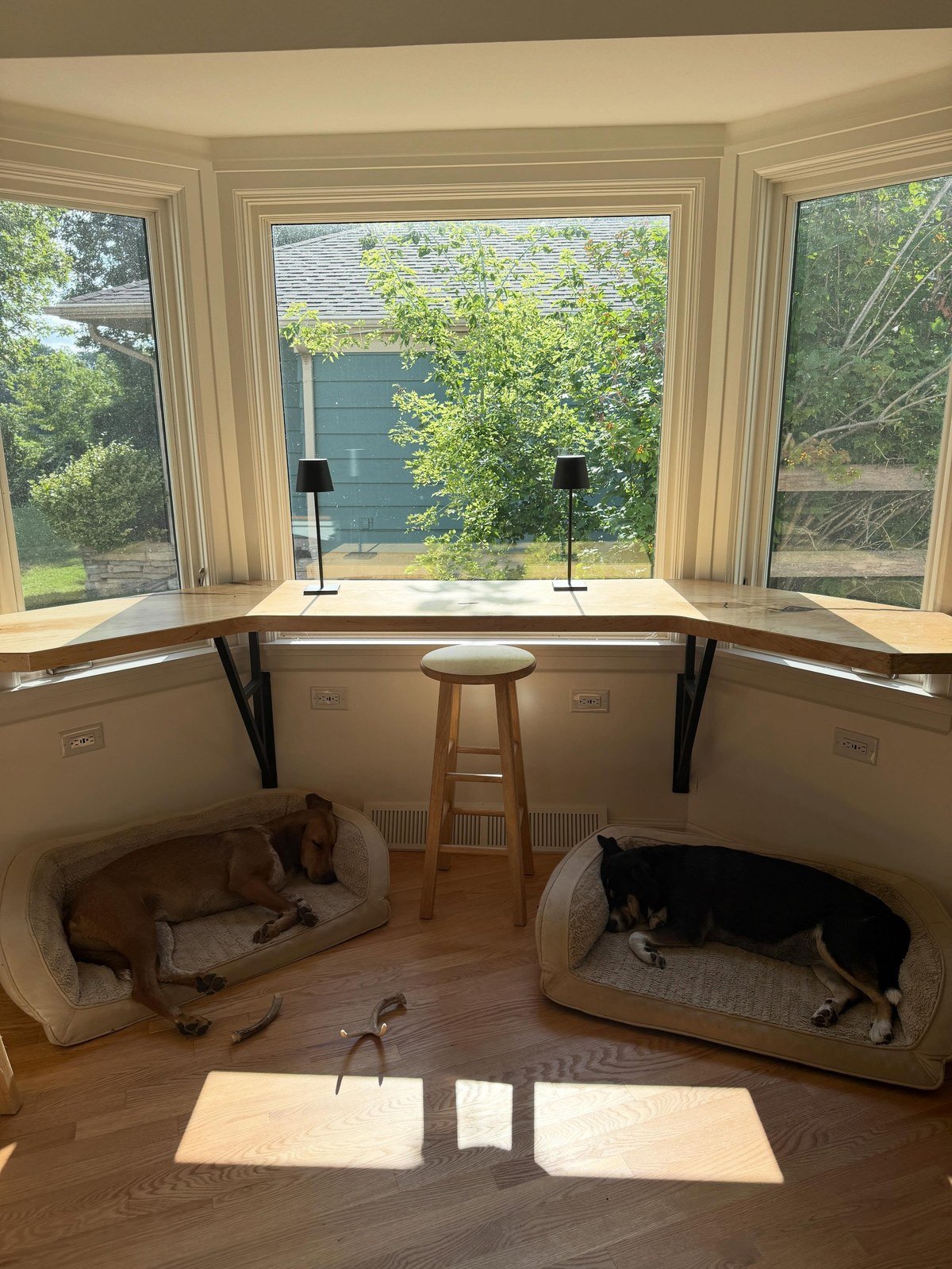 Custom bay-window counter with two plush dog beds beneath, two dogs sleeping. No readable text.
